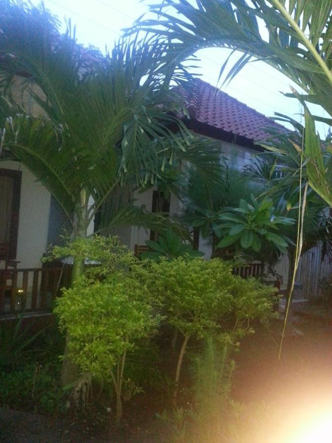 Family Bungalow Gili Meno Eksteriør bilde