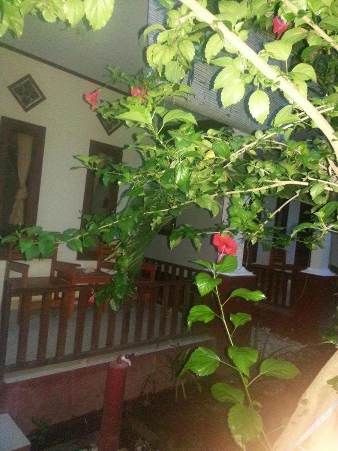 Family Bungalow Gili Meno Eksteriør bilde