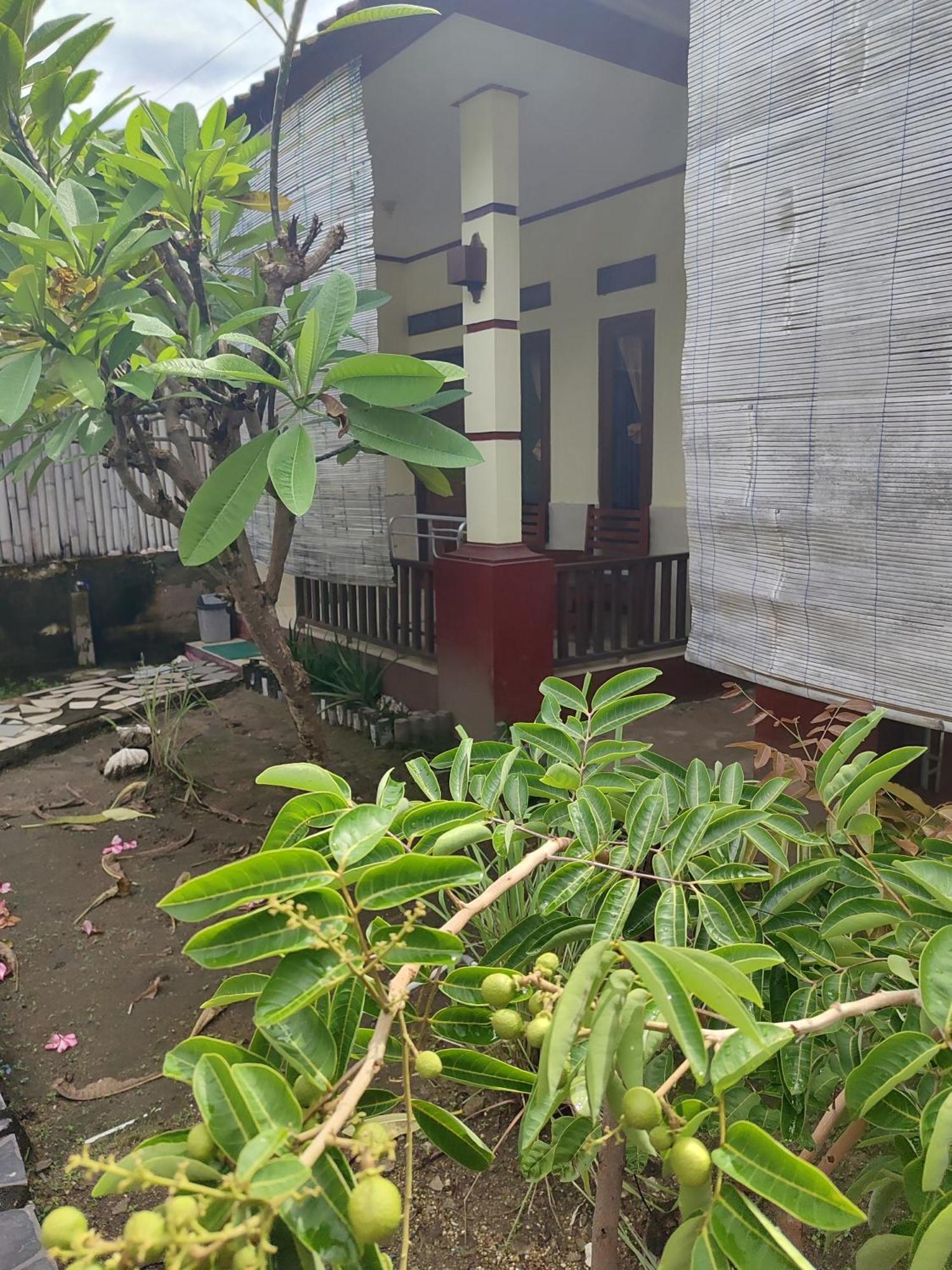 Family Bungalow Gili Meno Eksteriør bilde